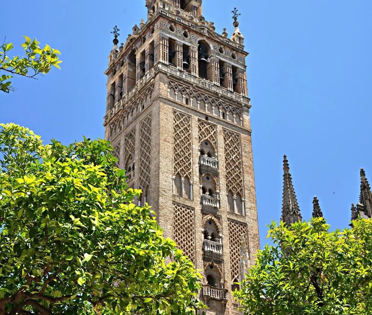 Villa Candelaria Sevilla Aljarafe Bormujos